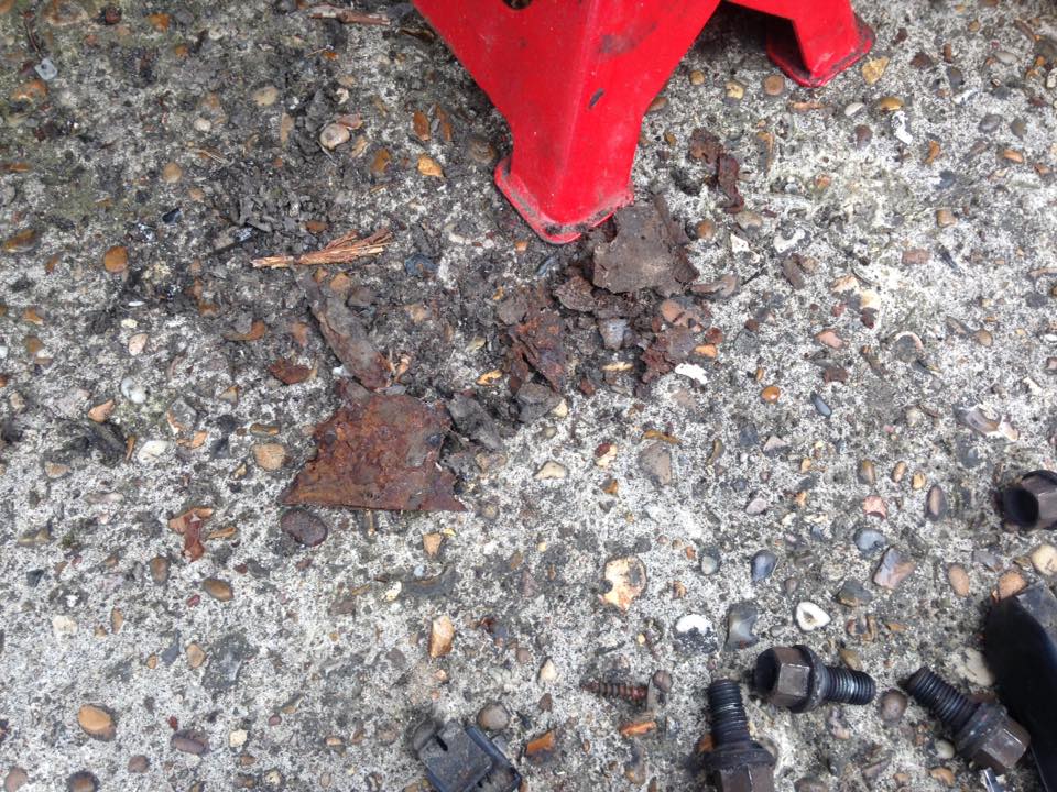 13439033_10209775972259808_7172022462638881256_n