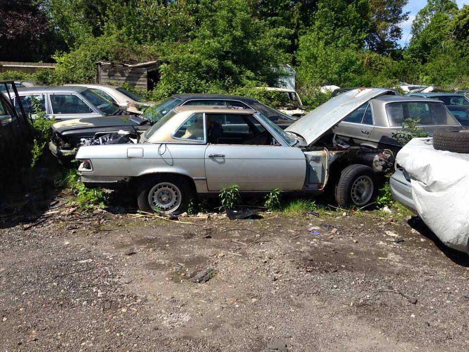 10360465_10206719893419747_1182265727413471802_n