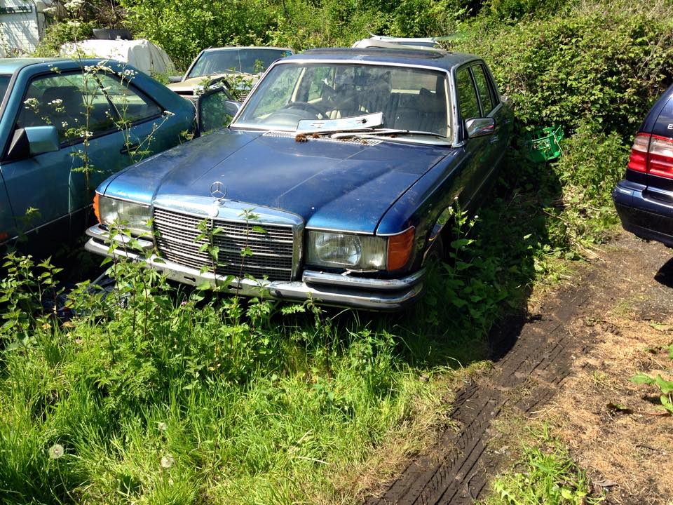 10428546_10206719894059763_4607170160296154890_n