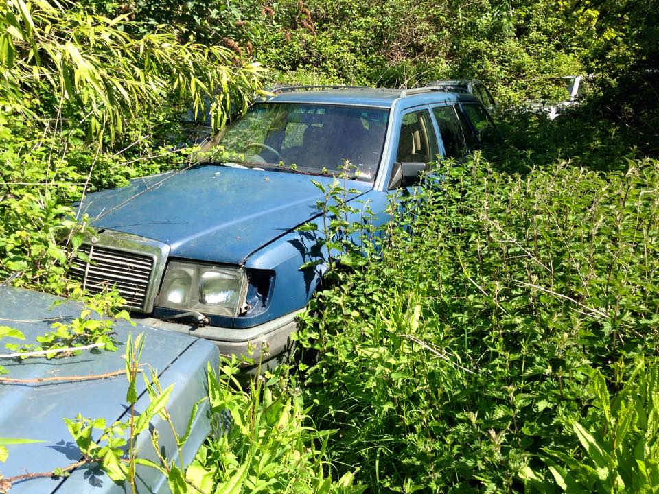 10428554_10206719887739605_8309041121787377611_n