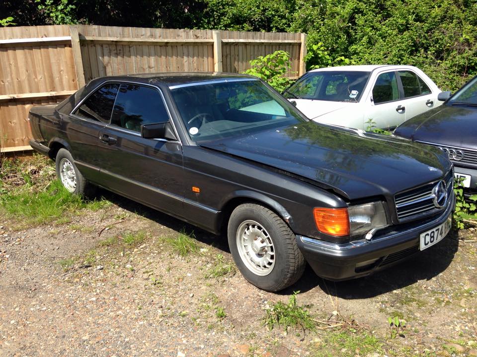 11057217_10206719888499624_2087004996803643230_n