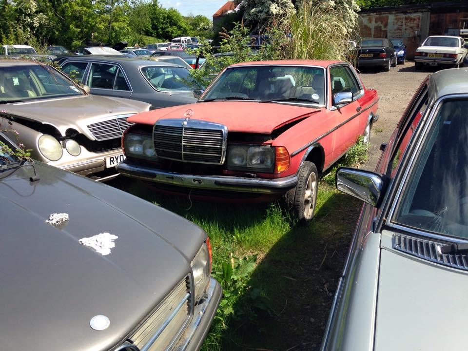 11062263_10206719890019662_8695183637145915344_n