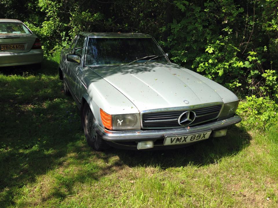 11065917_10206719895059788_5650123127892148004_n