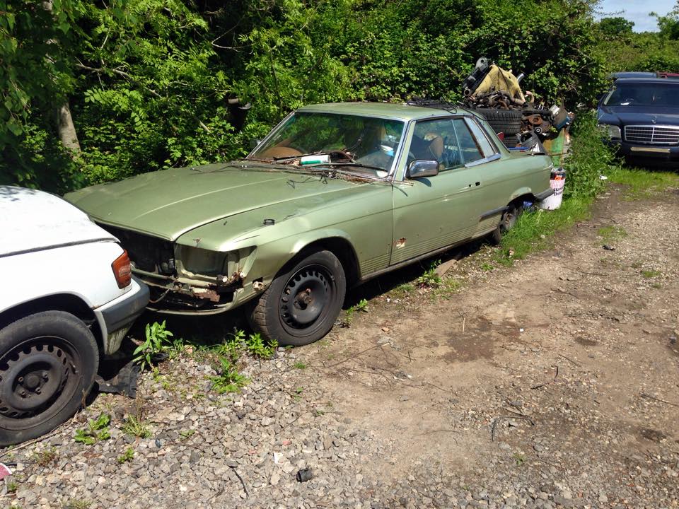 11111142_10206719895579801_833155707887682257_n