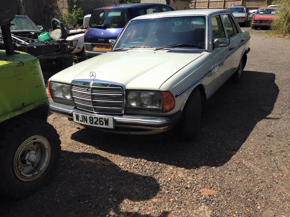 11125332_10206719892619727_7702452088531478683_n