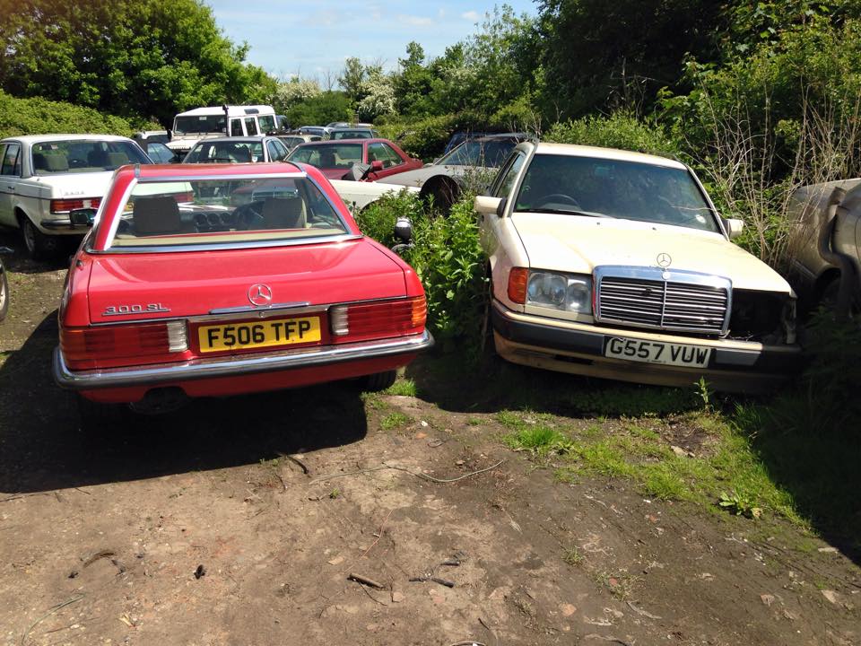 11238258_10206719896019812_1364875035774846972_n