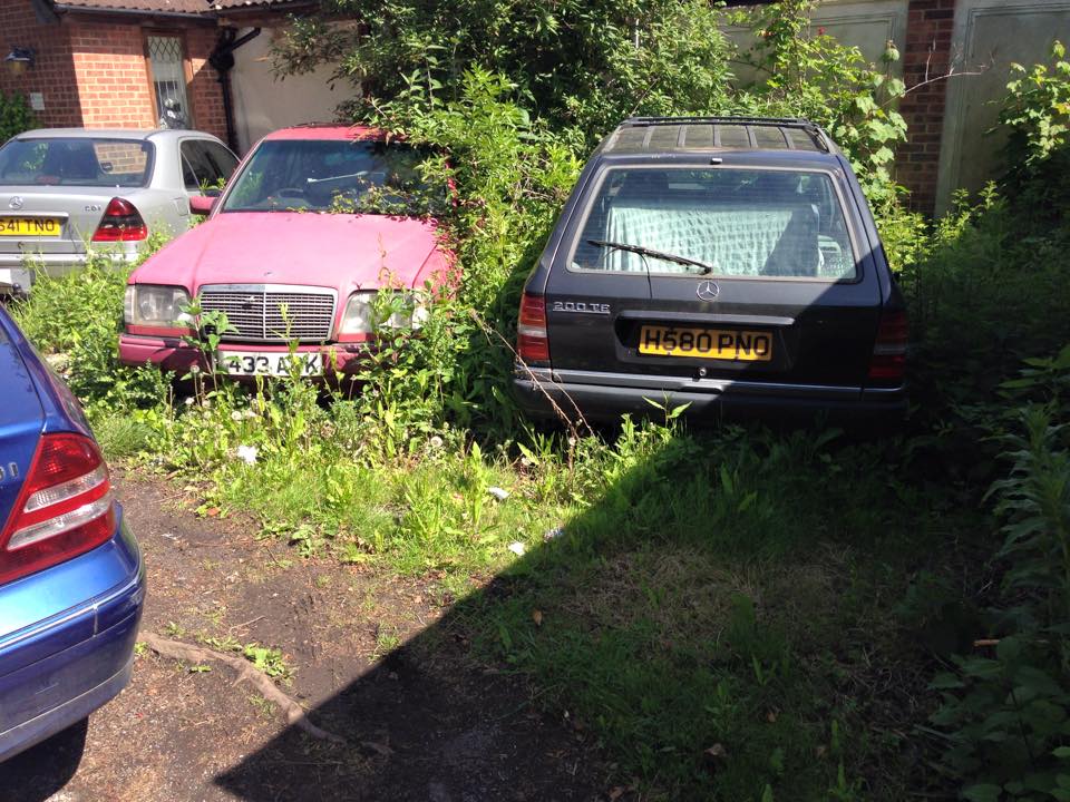 11244897_10206719886379571_6283903421870112617_n