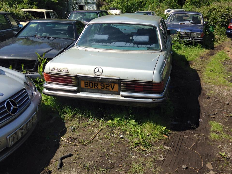 11263084_10206719893779756_981878951856746162_n