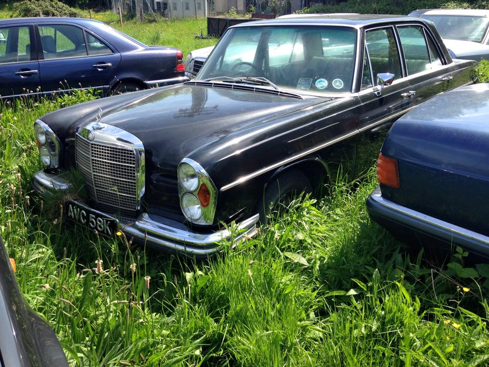 11267045_10206719896539825_4197293193980136623_n