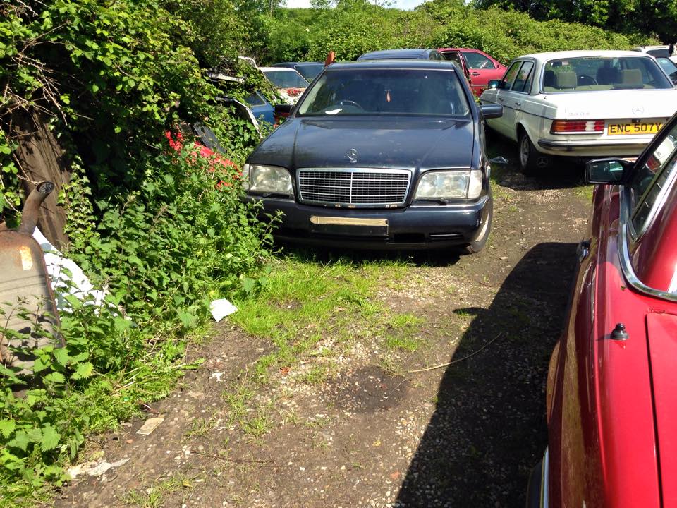 11269811_10206719896939835_3810201828200401044_n