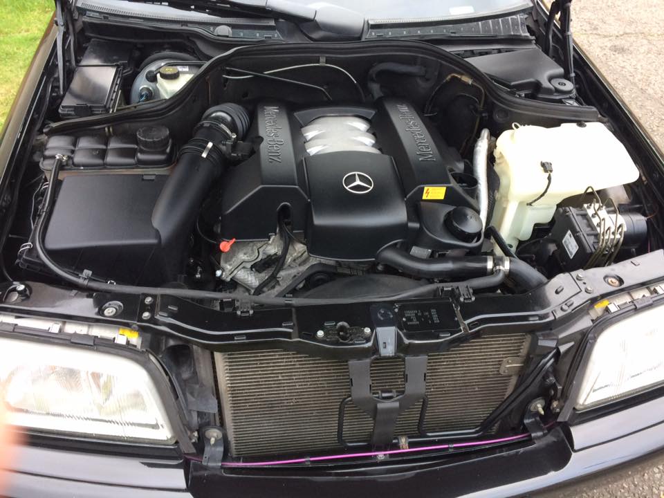 14729320_10210877336313221_6783390839164803879_n