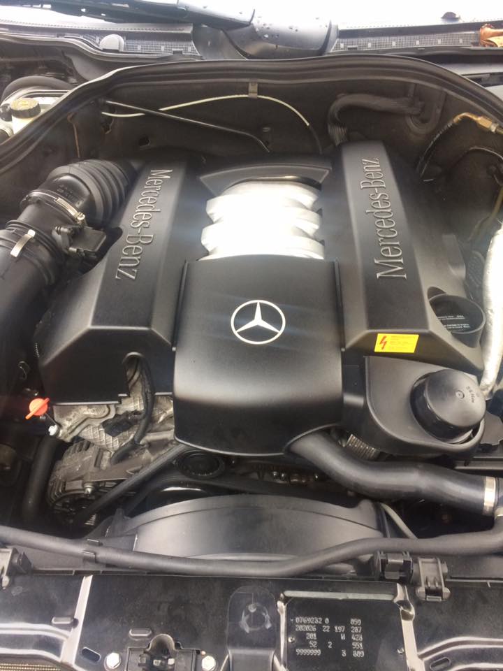 16299352_10211956276366048_1715762505199335153_n