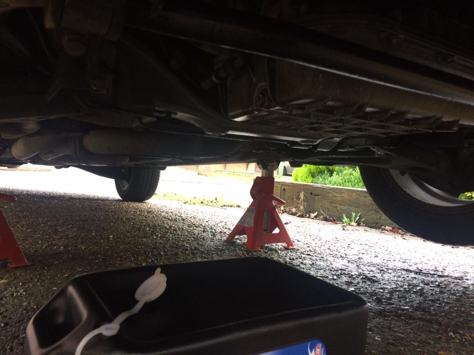 16299373_10211956275166018_4456283081970860225_n