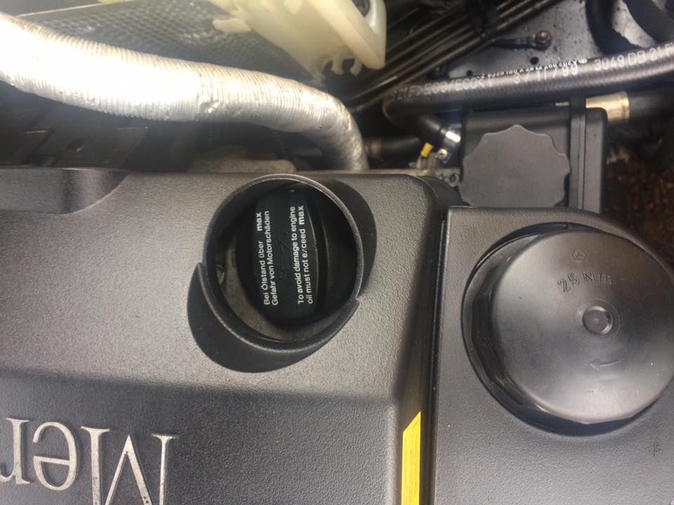 16426070_10211956276326047_7584721358649543031_n