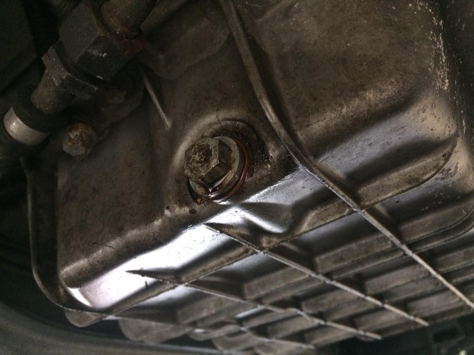 16427230_10211956275006014_2218923477199270776_n