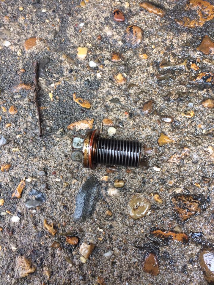 16473736_10211956275966038_5594151886461086430_n