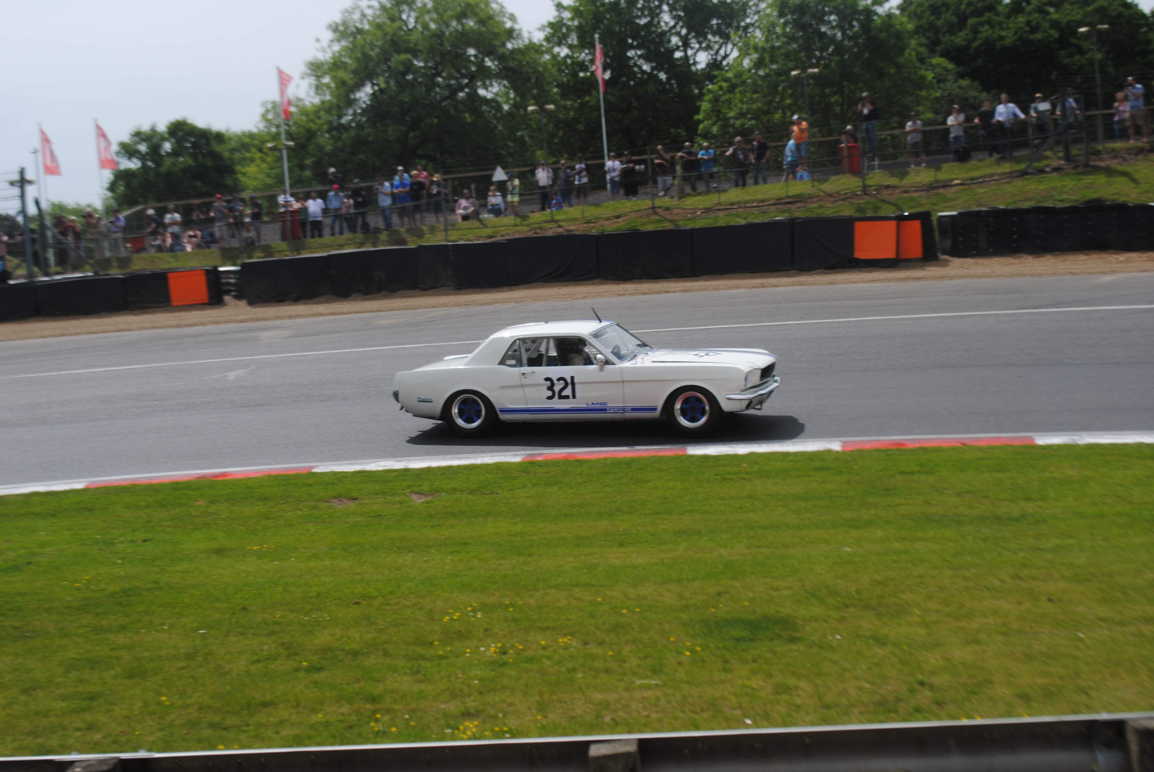 DSC_0201