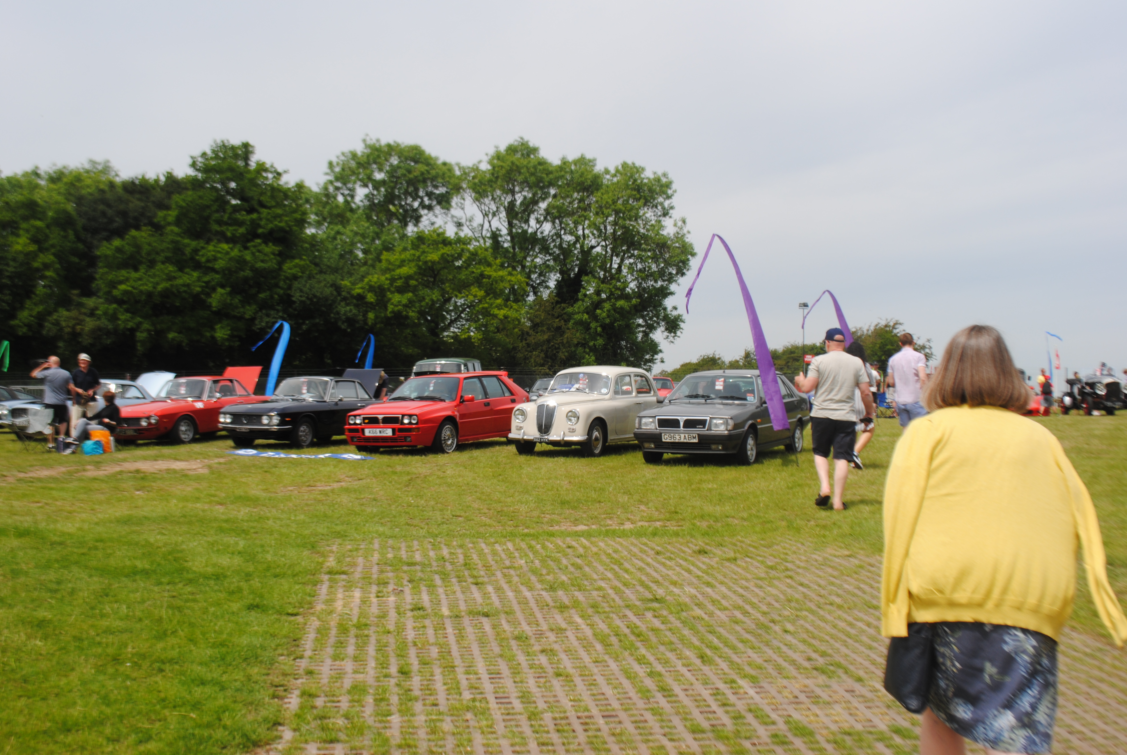 DSC_0232