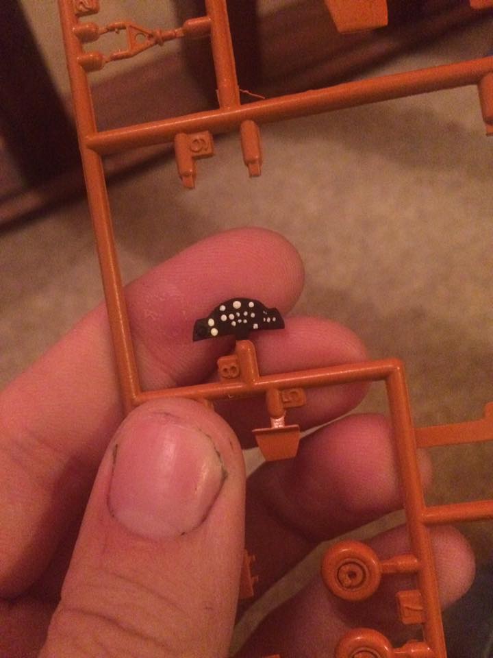 21731343_10214182068609463_2030643722168553969_n