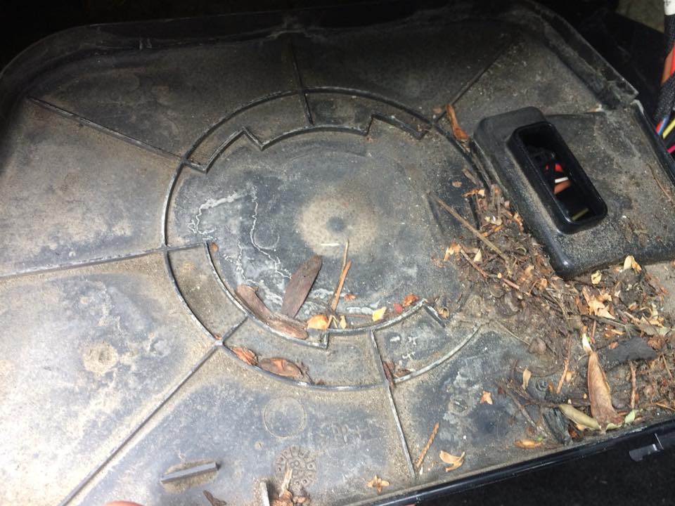 34670800_10216458159670317_2524831808109936640_n