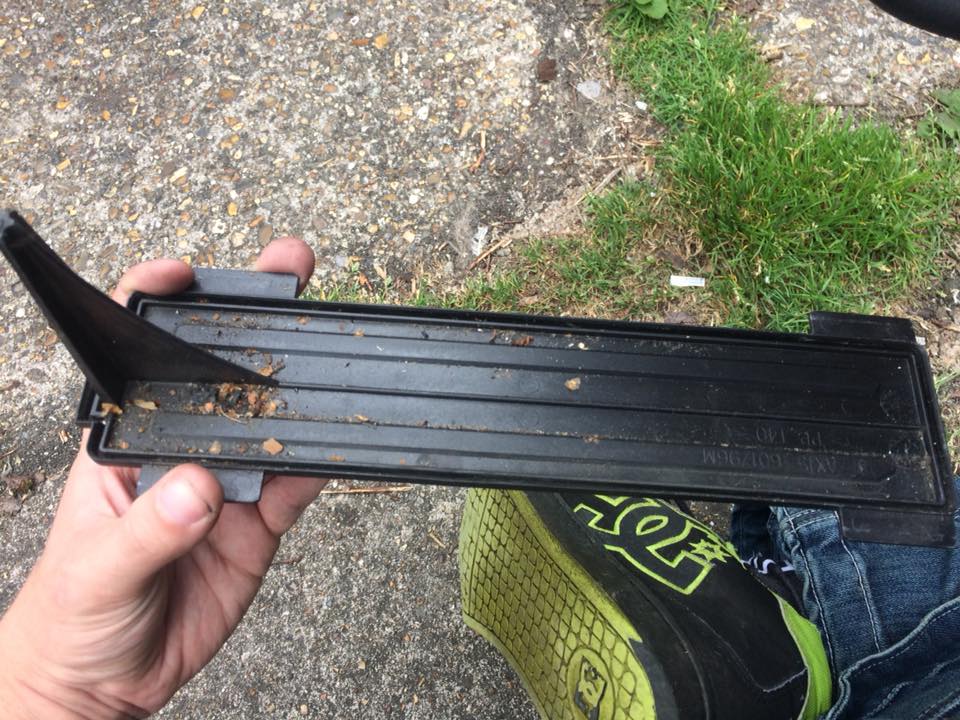 34755321_10216458162310383_7606661396482228224_n