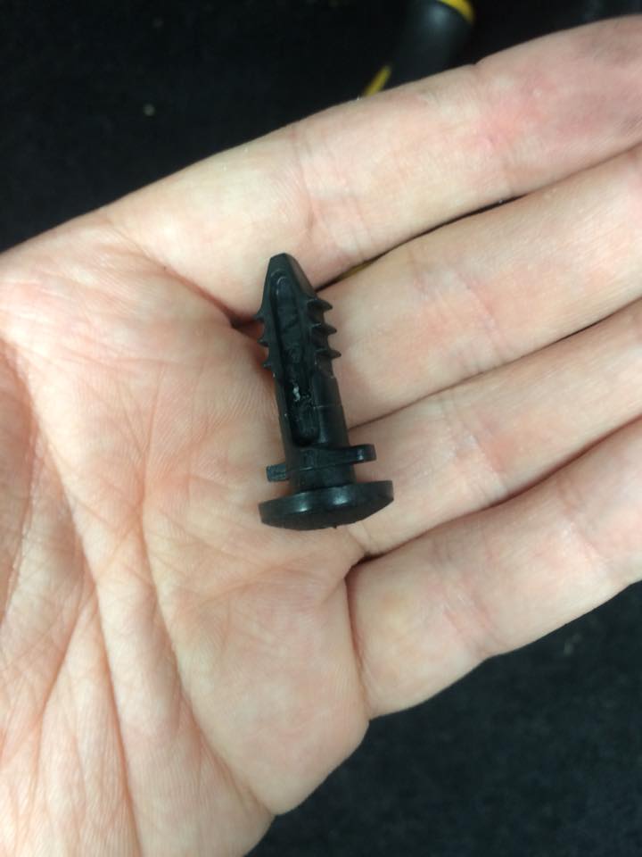 34794673_10216458158590290_8744554316599132160_n