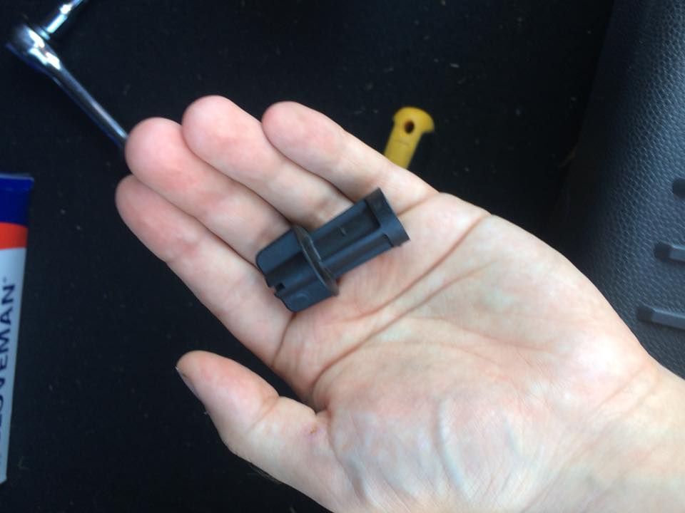 36348839_10216630806306375_3133868620338167808_n